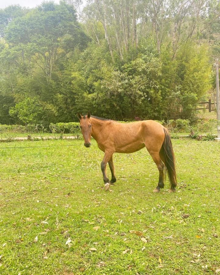 Hotel Fazenda Bonanza Engenheiro Paulo de Frontin Εξωτερικό φωτογραφία