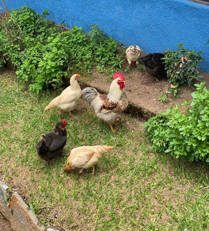 Hotel Fazenda Bonanza Engenheiro Paulo de Frontin Εξωτερικό φωτογραφία